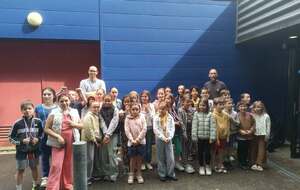 Compétition Groupe requin/dauphin