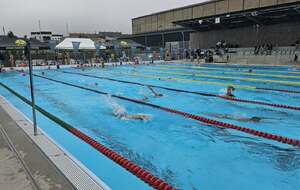 Championnats Départementaux Été U14 et plus - 25 m