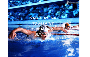 stage benjamins juniors