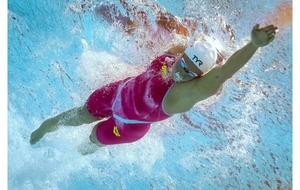 YAOUANK 2  , NES EN 2014 ET  2013