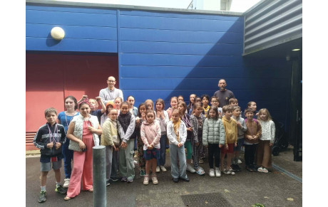 Compétition Groupe requin/dauphin